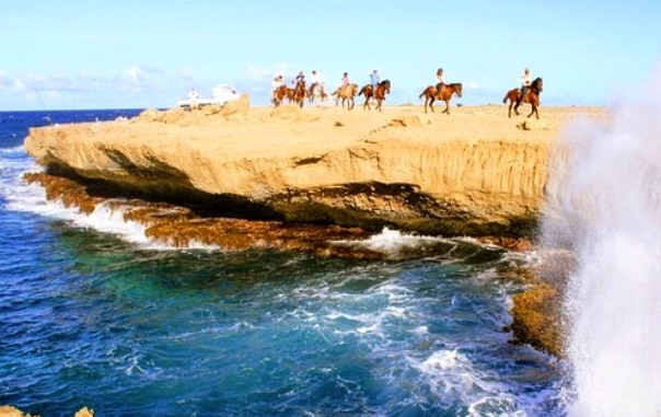 Aruba Beaches Horseback Riding