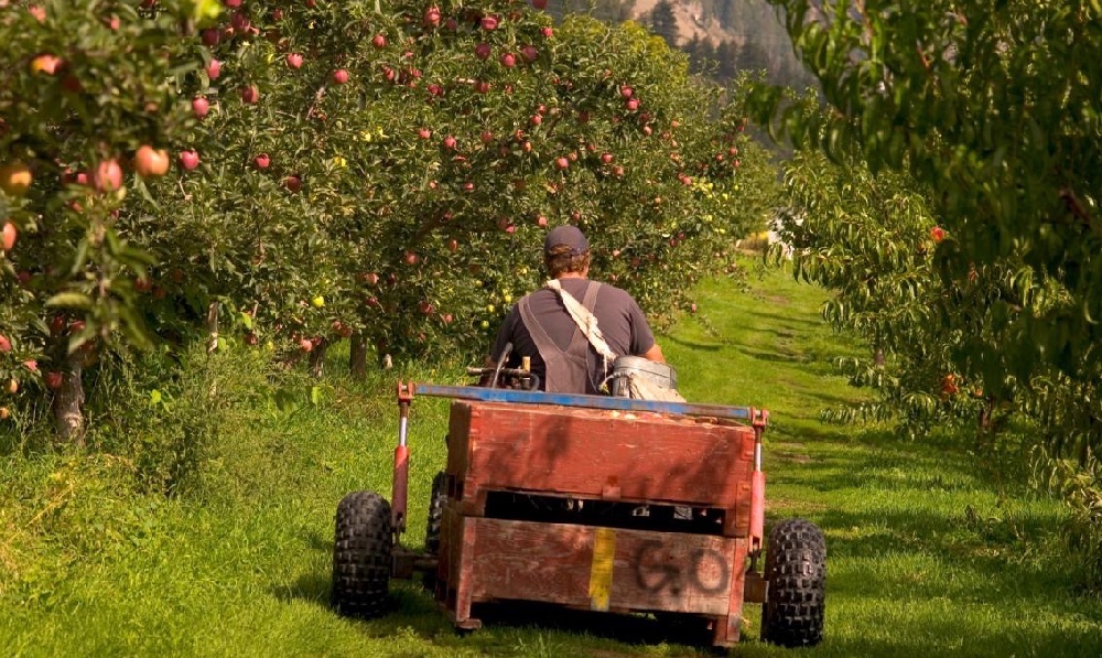 BWD Okanagan Lakes and Wineries Gatzke Farm