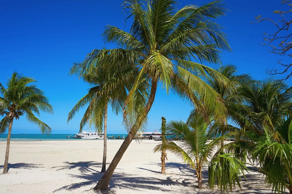 Cancun Beaches Playa Langosta