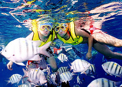 Snorkelling in Cozumel