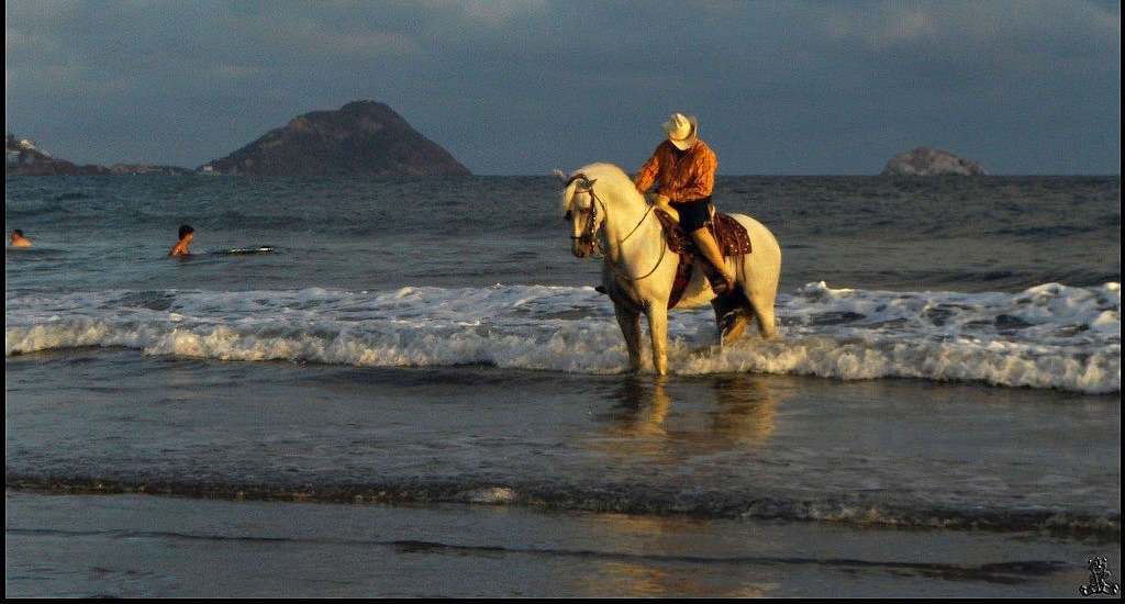 Mazatlan Beaches Man On Horse