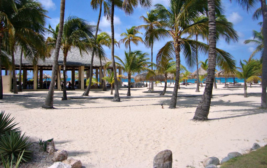 Aruba Beach Hotels Manchebo Beach Resort
