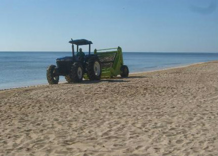 Playa del Carmen seaweed cleanup